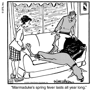 marmaduke